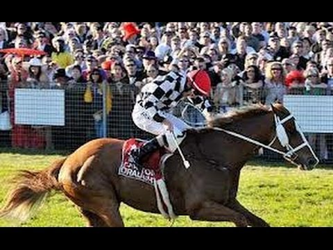 2006 BRC Rough Habit Plate _ Belmonte