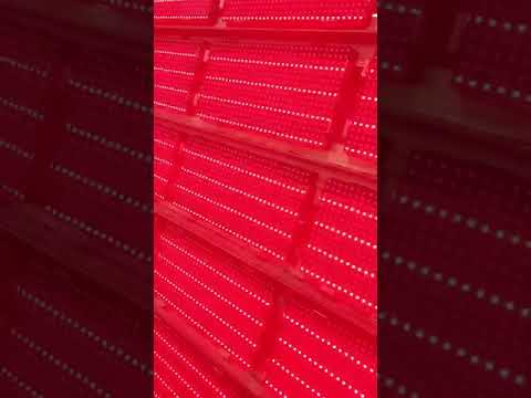 LED Module