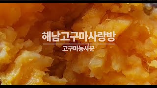 맛있는 고구마모종 잘사면 범죄자와 공범이 됩니다??!!