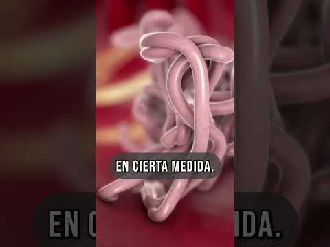 🌿 M.A.R. Method: The key to a healthy body begins with deworming