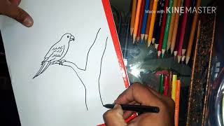preview picture of video 'How to draw parrot with colors filling for kids'