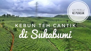 Download lagu Kebun teh cantik di Sukabumi | Drone view mp3