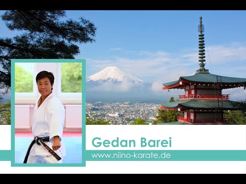 Gedan Barai - Einfaches Basic 1 Prinzip zum Lernen und Lehren