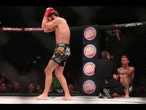 Чик Конго – Александр Волков / Cheick Kongo vs. Alexander Volkov