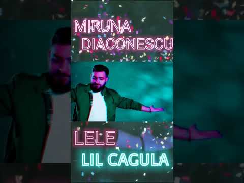 @MirunaDiaconescu @LeleMusic @lilcagulaoficial -Alo, Fallow