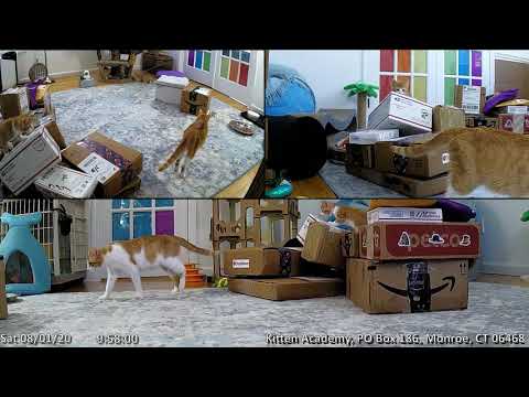 Mailbag 2020-08-01: The One From a Thousand Years Ago