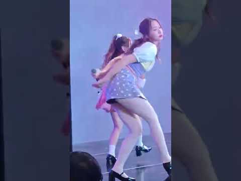 Daisy Daisy 2 231022 Icon Siam