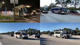 Broward County Transit Bus Action, January 2023, Part 1