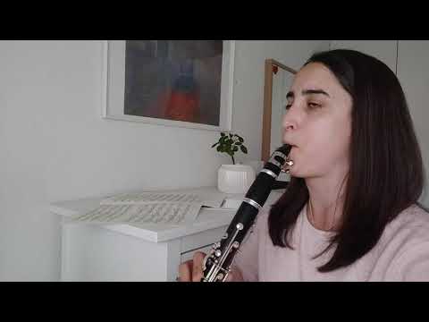 Instrumentpræsentation af klarinetten!