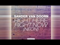 Sander van Doorn - Right Here Right Now (Neon ...