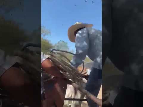 Sensuntepeque Cabañas 🇸🇻