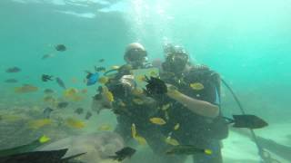preview picture of video 'First time scuba diving for our 2nd wedding anniversary'