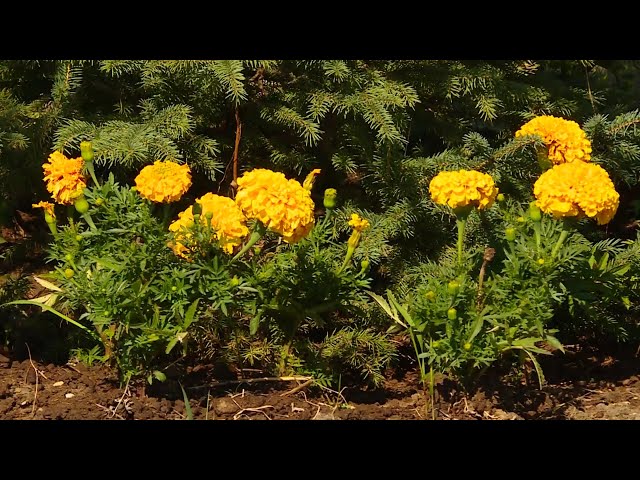 В Иркутской области благоустроено около 100 общественных пространств