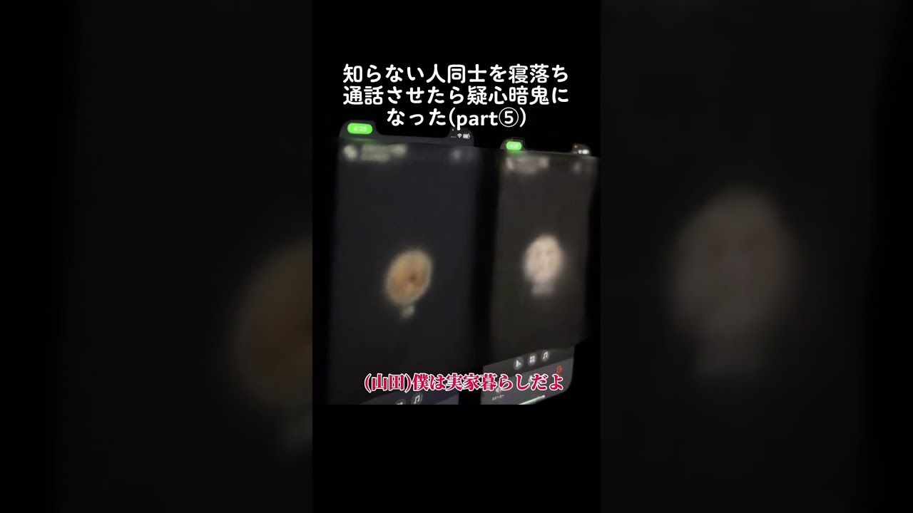 知らない人同士の通話に幽霊として参加してみた　知らない人同士の通話で男性に成りすまして話してみた 疑心暗鬼編パート⑤ #寝落ち #通話 #yay