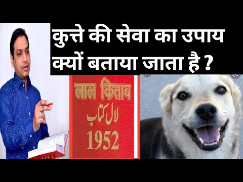 कुत्ते की सेवा से कैसे केतु सही होता है Ketu Ke Upay Lal Kitab