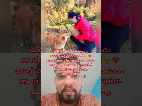 അമ്മയും കുഞ്ഞും!🐕❤️ എത്ര തിരഞ്ഞാലും കിട്ടാത്ത ഒന്നാണ് ഈ സ്നേഹം. ഈ മനോഹരമായ നിമിഷം കണ്ടോ?😍#fypシ゚viral
