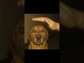 Never Stay Alone With Your Dog At Night Scary Shorts Creepy