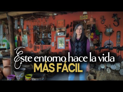 Puse los pies en este lugar y dije es acá | Traslasierra 