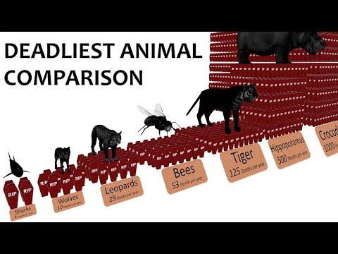 Deadliest Animal Comparison: Probability and Rate of Death