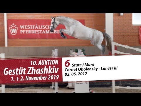 06 Stute / Mare v. Cornet Obolensky - Lancer III