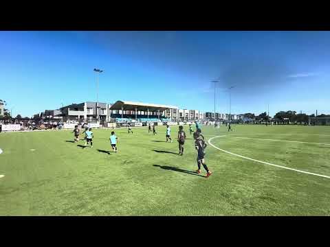 Elite U8 Black vs Neil Young 1/2