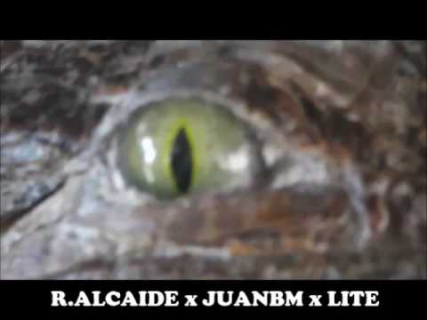 8 - MUEVELO / R.ALCAIDE x JUANBM x LITE (TOSEINA)