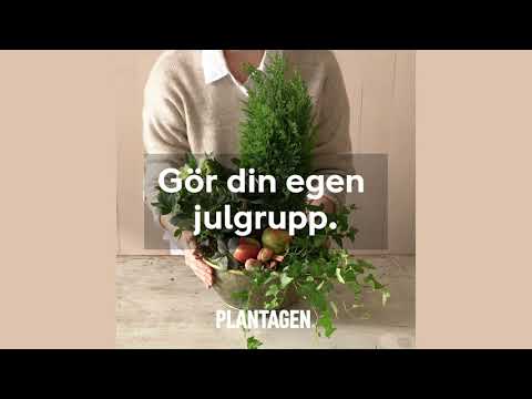 Gör din egen julgrupp