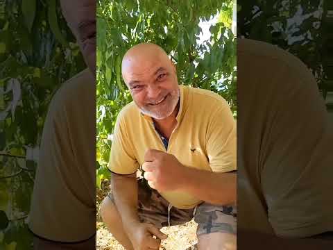 Recysling projest "Capsul of future " presentation