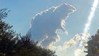 Unusually shaped clouds that look like other things