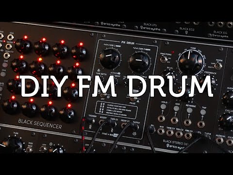 Erica Synths EDU DIY FM Drum image 2