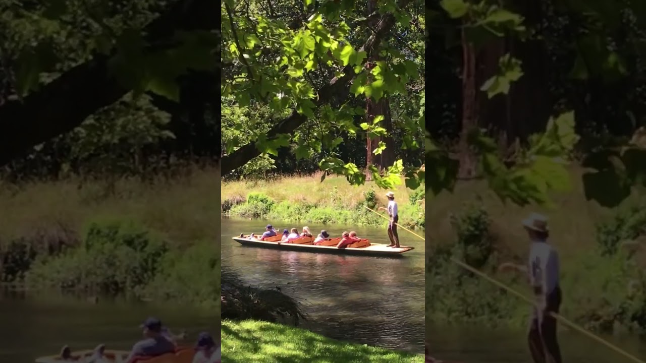 YouTube Short thumbnail