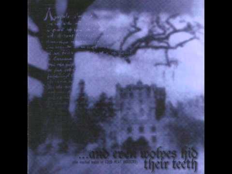 Mental Destruction - Wound