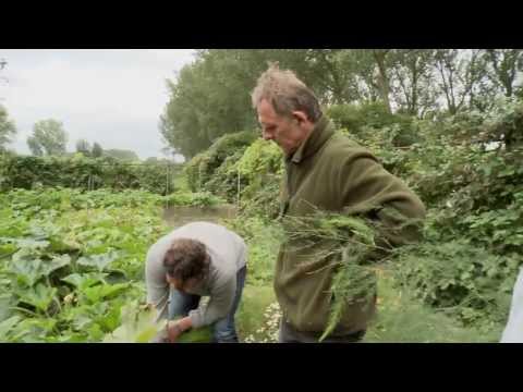 Midden in Hoofddorp - Het Nieuw Eten