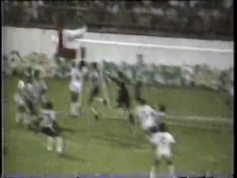 Cabofriense 1x0 Botafogo (24/02/1988) - Carioca 1988