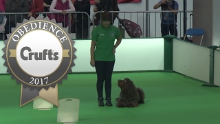 Inter-Regional Rally - Level 3 - Part 1 | Crufts 2017