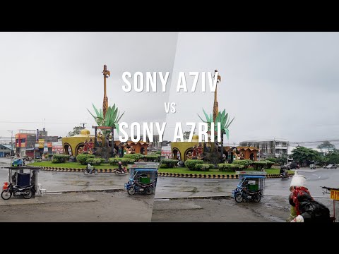Sony a7iv vs Sony a7rii | Quick test
