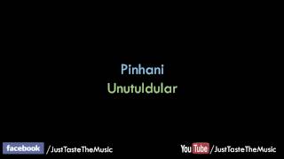 Pinhani - Unutuldular