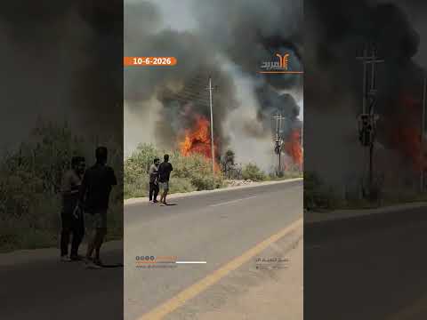 بصري يوثق حريقا في منطقة اهوار المسحب بسبب تماس كهربائي