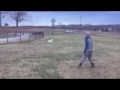 Video thumbnail 18 — Oscar of Union - An SOS Dog