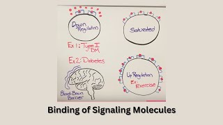 Receptors