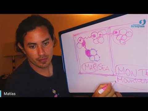 Día 297 - REPRODUCTOR-PIEL - Matias De Stefano - edición en español