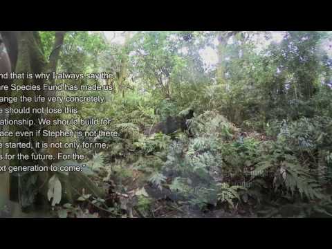 Inside the CTPH Gorilla Research Lab - Gorilla Conservation in Uganda 360