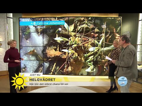 Här lyser solen i helgen - Nyhetsmorgon (TV4)