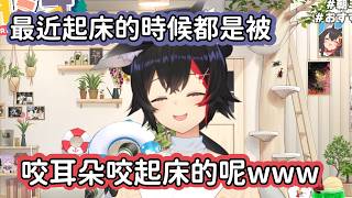 【Hololive中文翻譯】狼媽最近都是被咬耳朵叫起床的www【大神ミオ/大神澪】