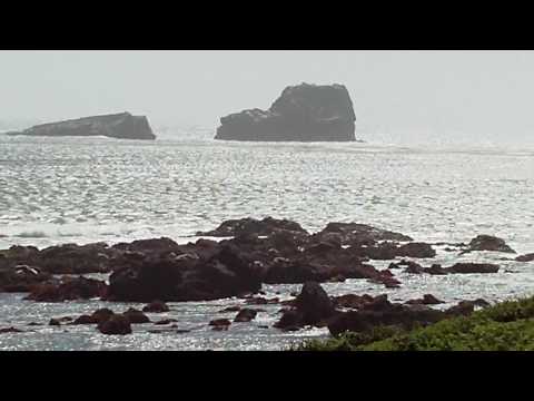 download lagu mp3 mp4 Piedras Blancas Surf, download lagu Piedras Blancas Surf gratis, unduh video klip Piedras Blancas Surf