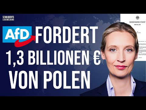 Serious allegations against Poland & the German government💥Merz under pressure💥Ukraine has attack...