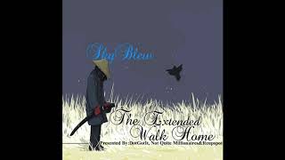 SkyBlew - Edge Of A Dream (Feat. Brian Flores) [Prod. Brian Flores]