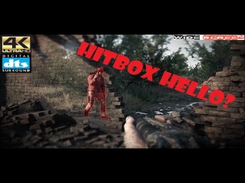 Steam Community :: Video :: [ENG] Hunt: Showdown - HITBOX BUG?