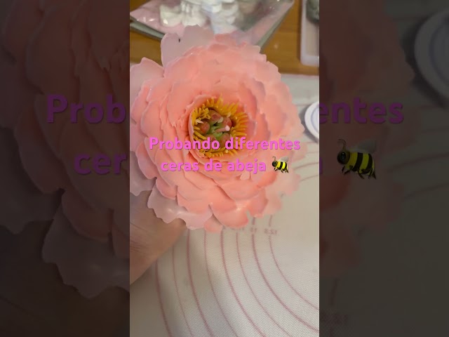 Vídeo relacionado con Un par de velas altas de cera de abeja vestidas con hierbas y flores mágicas, 2 unidades, enrolladas a mano (luna llena)
