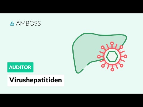 Virushepatitiden -- Hepatitis A, B, C, D und E im Vergleich -- AMBOSS Auditor